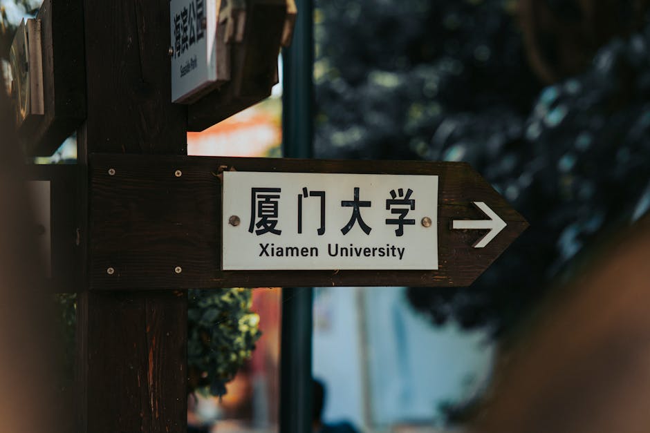 香港餐牌設計