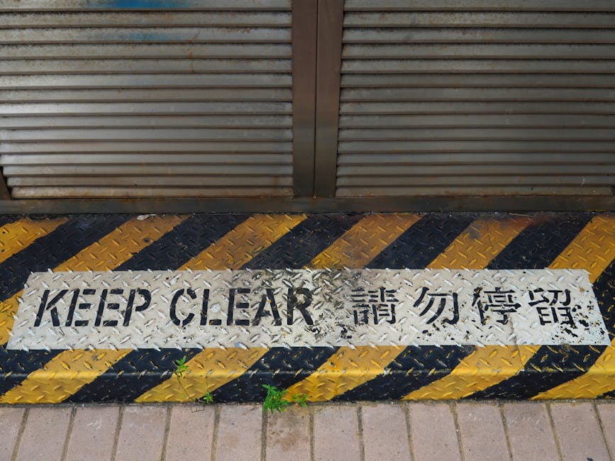 餐牌設計