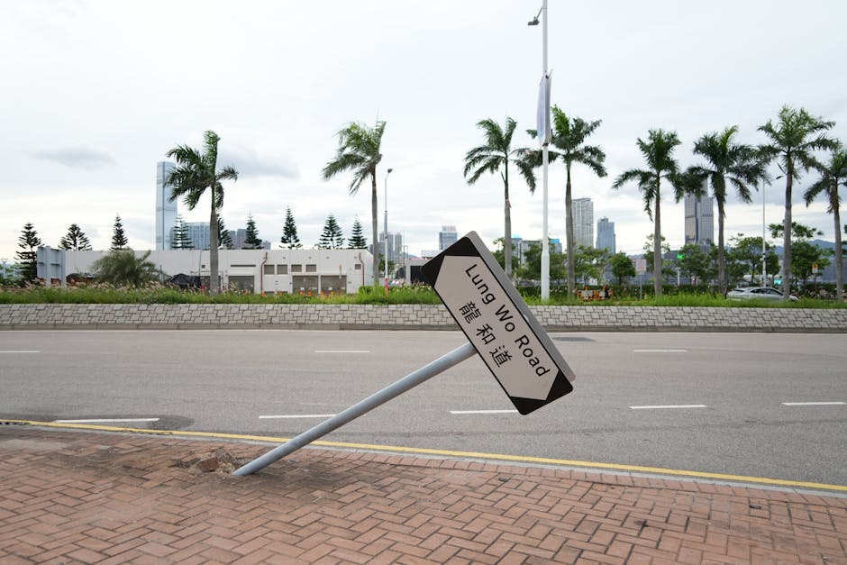香港餐牌設計